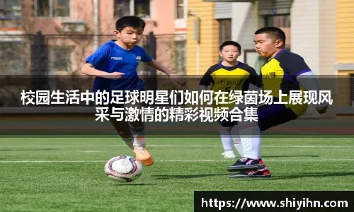 辑可以概